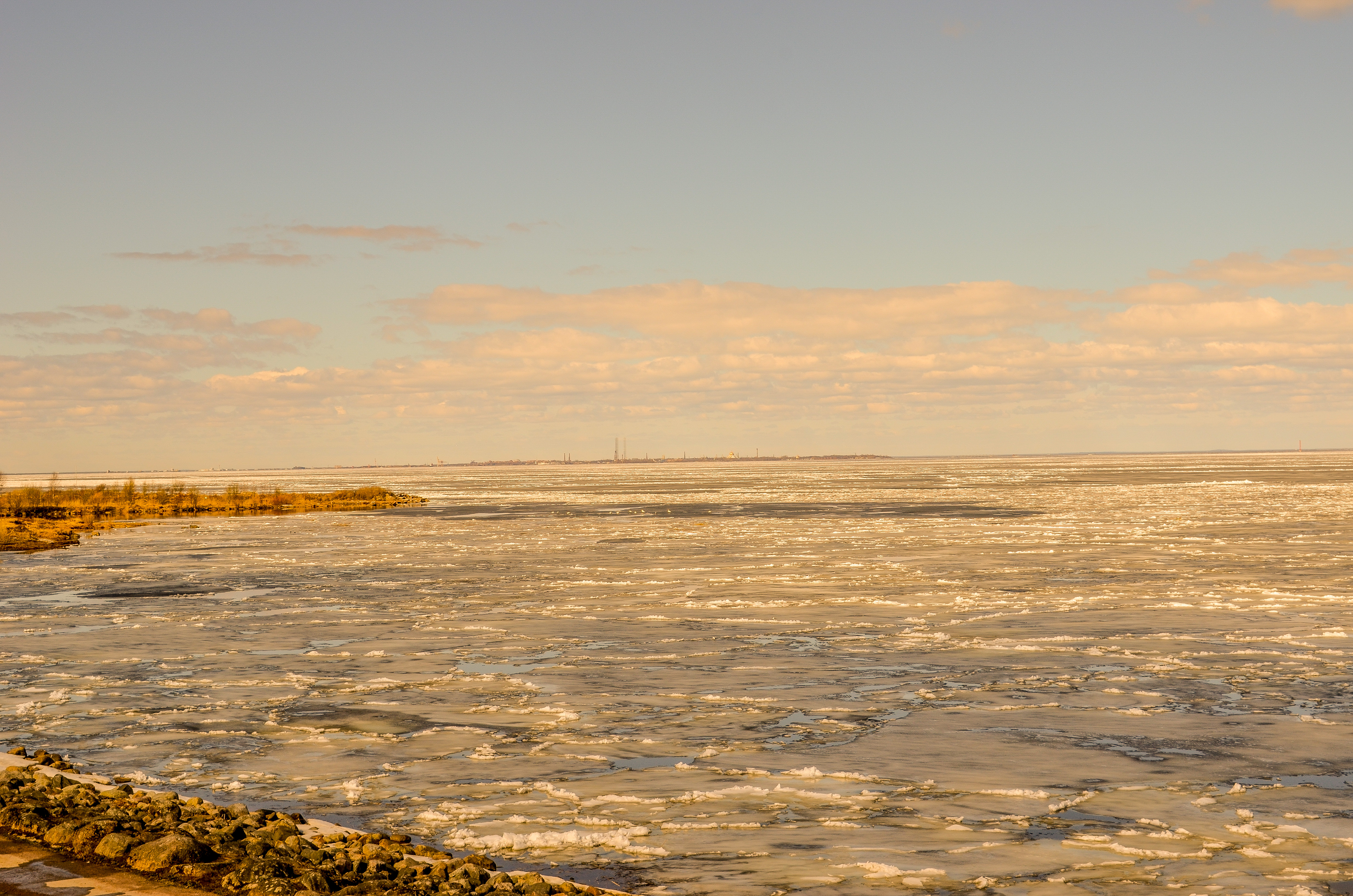 Побережье Финского залива в Петергофе — символ перспектив Петродворцового района