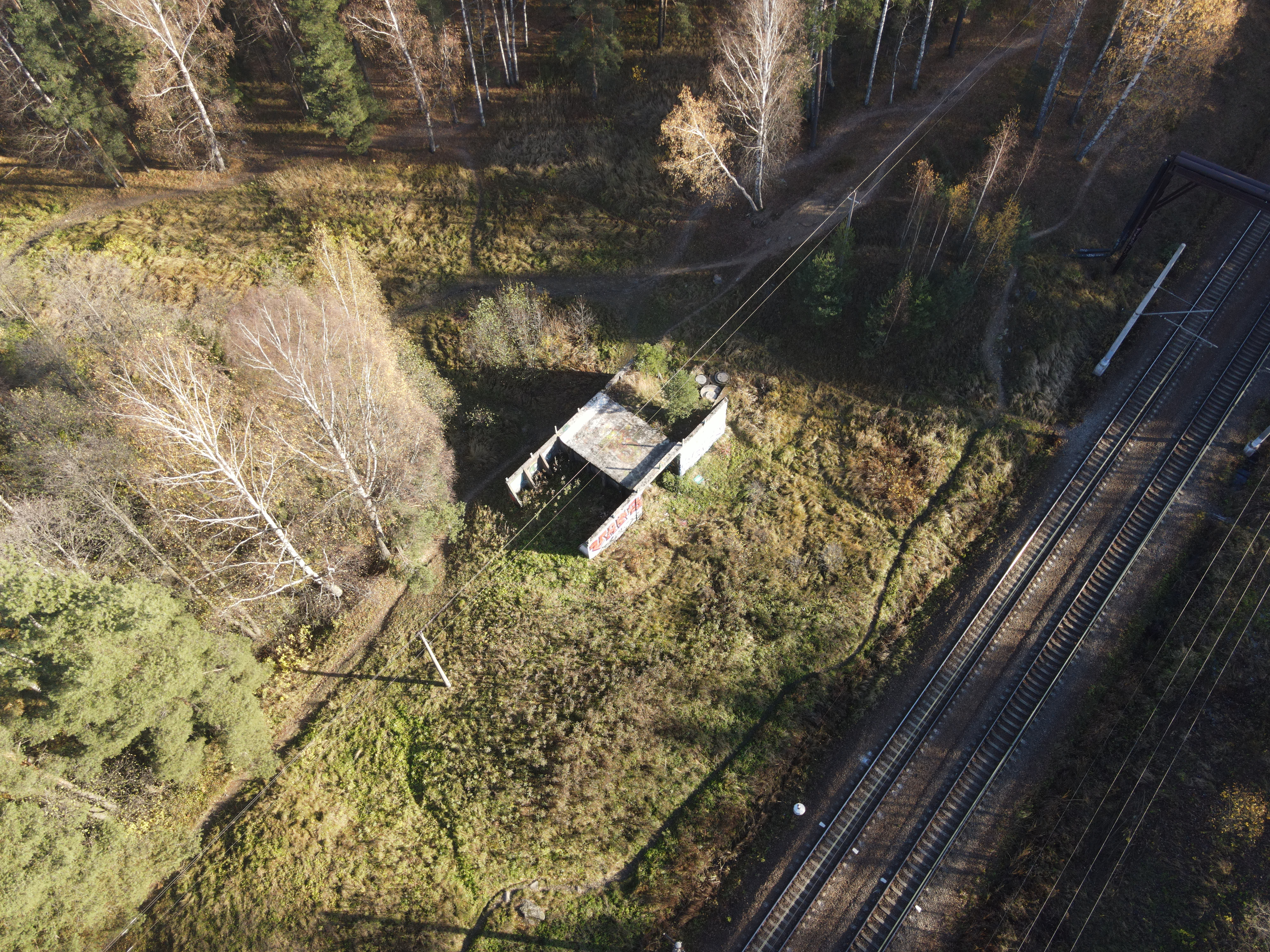 Улицы Петергофа — повседневная жизнь в Петродворцовом районе Санкт-Петербурга